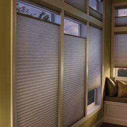 Traditional Grey Living Room Custom Window Honeycomb Shades by Hunter Douglas - Cellular Shades