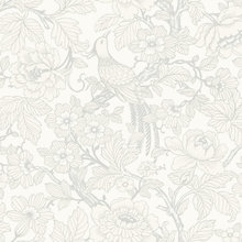 my den ideas to use
