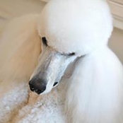 Liz Merenda's photo