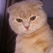 Владимир Переверзев's photo