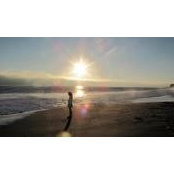 Barbara Pierard's photo