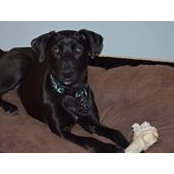 Brett Jaffe's photo