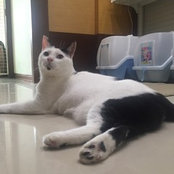 Stanleyさんの写真