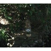 Rafael Diaz's photo