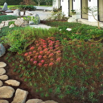 Japanese Garden in Central America
