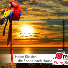 Tiermotive