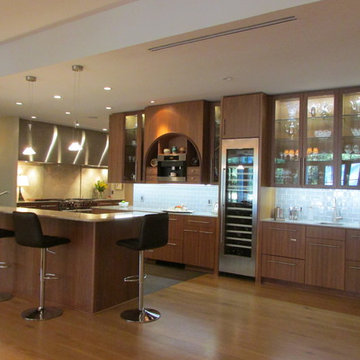 Contemporary Remodel