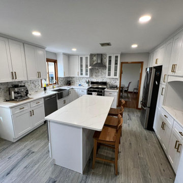 Calacatta Zion Quartz Countertops Remodel