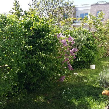 Jardin printemps - Noisy-le-grand