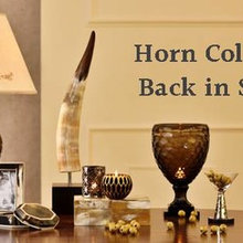 Elvy home decor