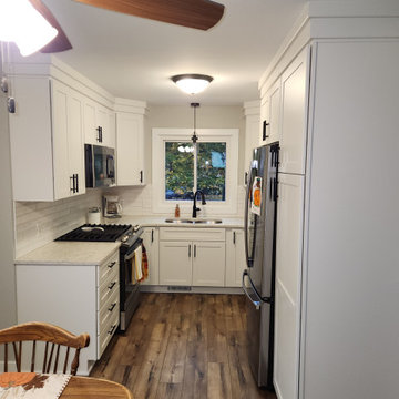 Sharon, Grand Rapids, Kitchen/Living Room Remodel