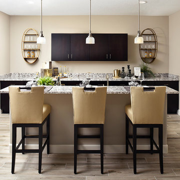 Daley model home in Colorado