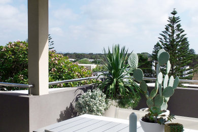 Diseño de balcones costero con jardín de macetas