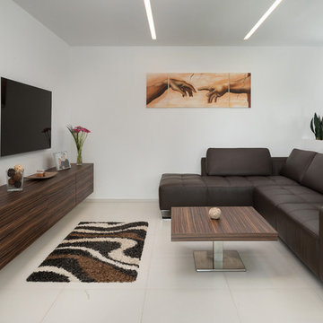 Macassar veneer and white lacquer in modern living room