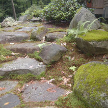 Landscape Ideas