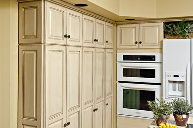 Kitchen - traditional kitchen idea in Minneapolis