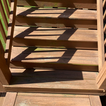 Deck Restauration