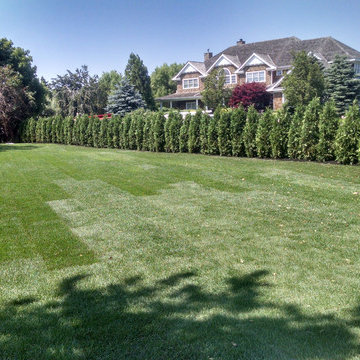 Sod Installation, Brush Removal, Planting, Mulching and Trimming