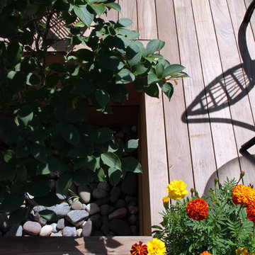 Modern Deck and Fencing, Lyme