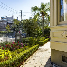 New Orleans landscape