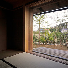 Home Renovation