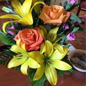 Jeanne Apelseth's photo