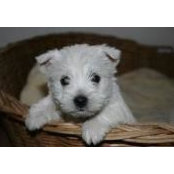 Aileen MacKee's photo