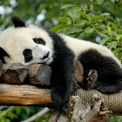 Foto von Delphine Phine