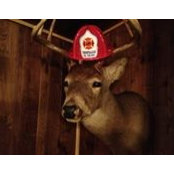 Laura Orlowski Wisner's photo