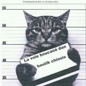 Photo de Sébastien Boyer