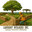 Landart Builders Inc