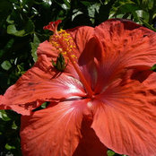 Verna Gough's photo