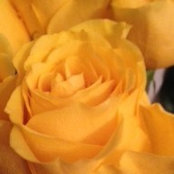 Debbie Stalsberg's photo