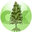 Conifer Konstruktion (Nig) Ltd