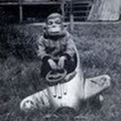 Brian Bradley's photo