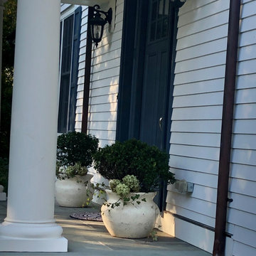 Holly Ivy and Hydrangeas