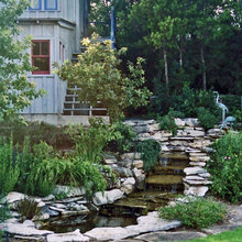 Landscape Ideas