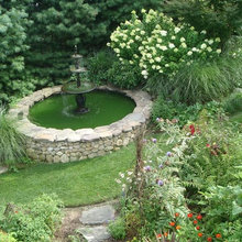 Zen Garden