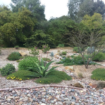 Watershed Approach Project