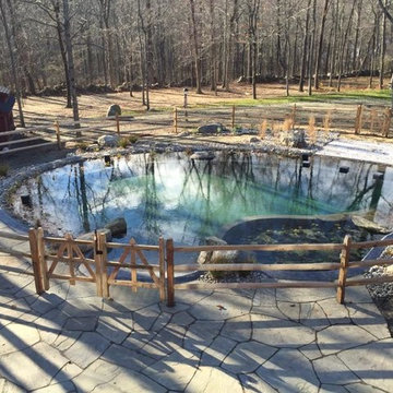 BioNova Natural Swimming Pool - Stamford, CT