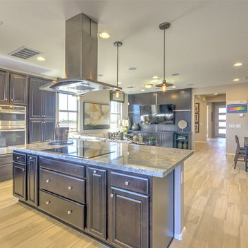 Ambition at Eastmark | Mesa, AZ | 3582 - Dream Plan