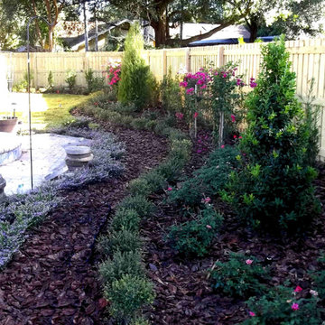 Carrollwood Versaille Roses & Hedges