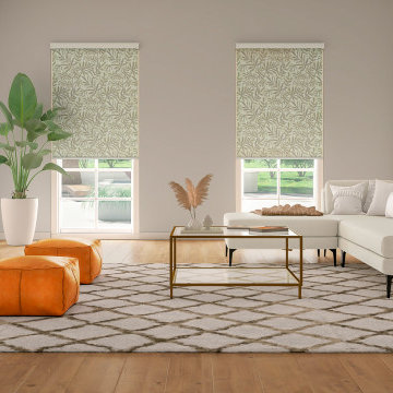 Modern Living Room Blinds