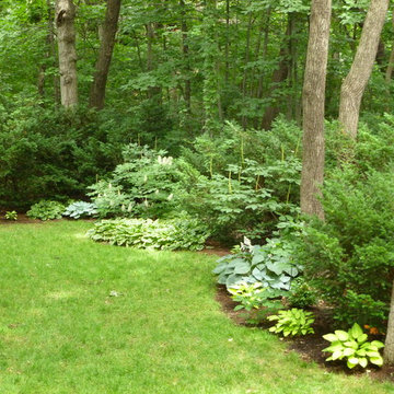 Keil Shade Garden
