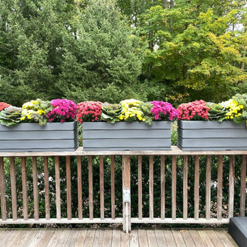 Outdoor Oasis: Patio Planters