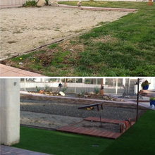 Xeriscape