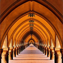 Line and Design - Architecture