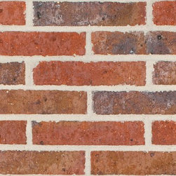 Daniel Robertson Bricks - Traditional 50mm Red - Bricks And Masonry
