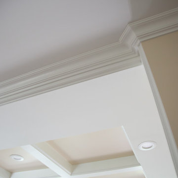 Transitional Oak Brook House