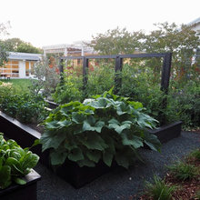 Beds Garden